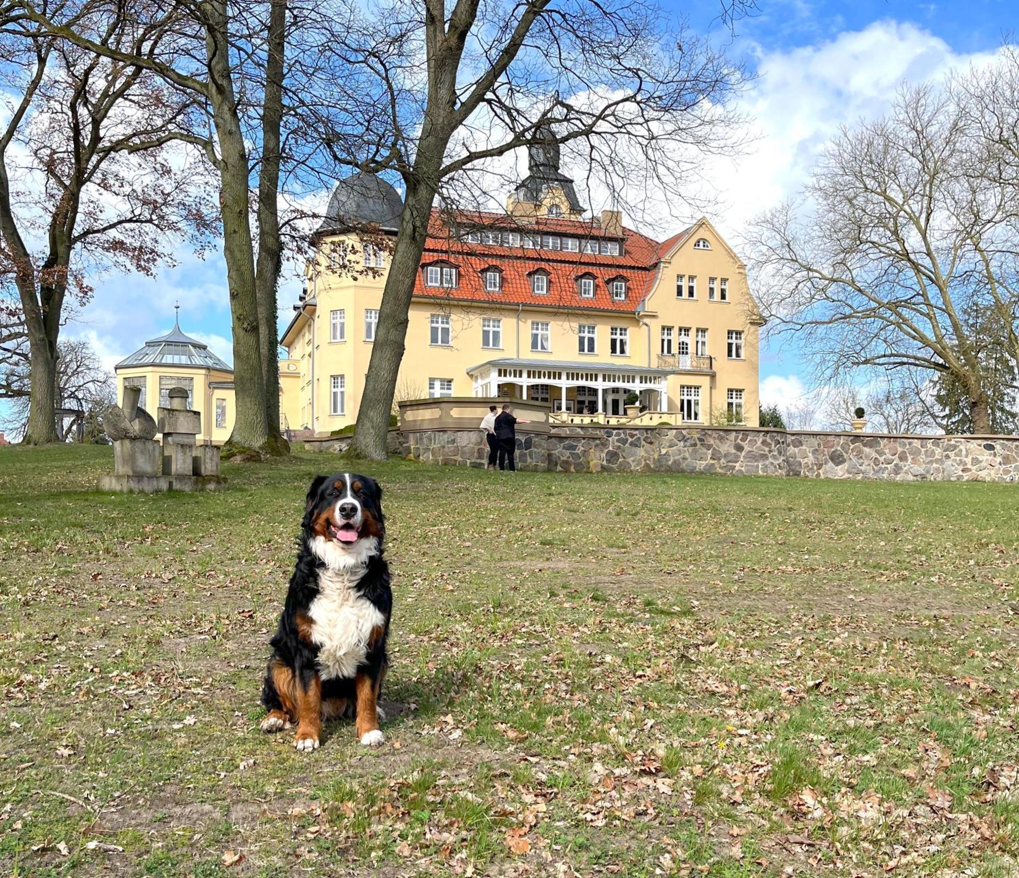 Bernsteinschloss Wendorf  Exterior photo